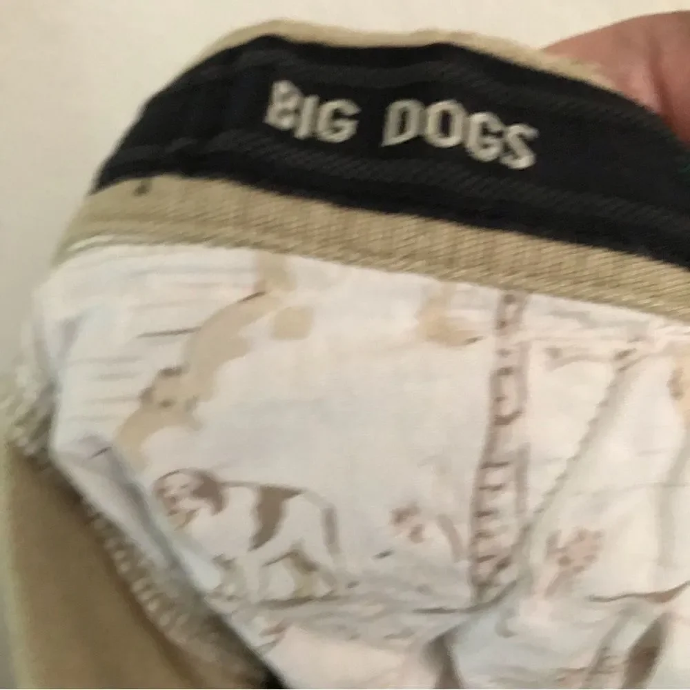 Vintage Big Dogs Resortwear tan cargo shorts  40‎